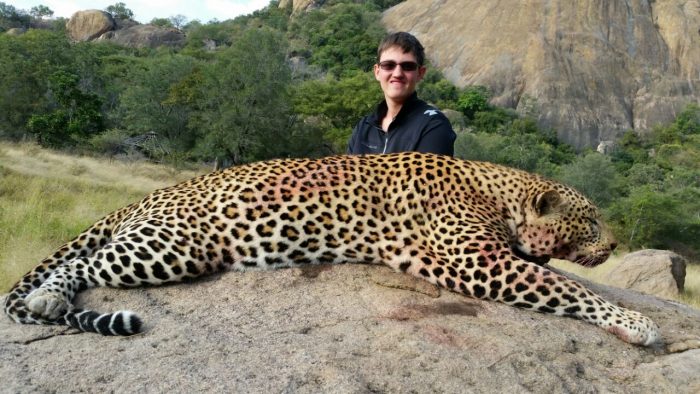 Matthew Aldridge of Florence Alabama successfully hunted an a very beautiful big Tom leopard